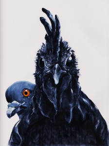 KunstIstTod_Pigeon-Rooster